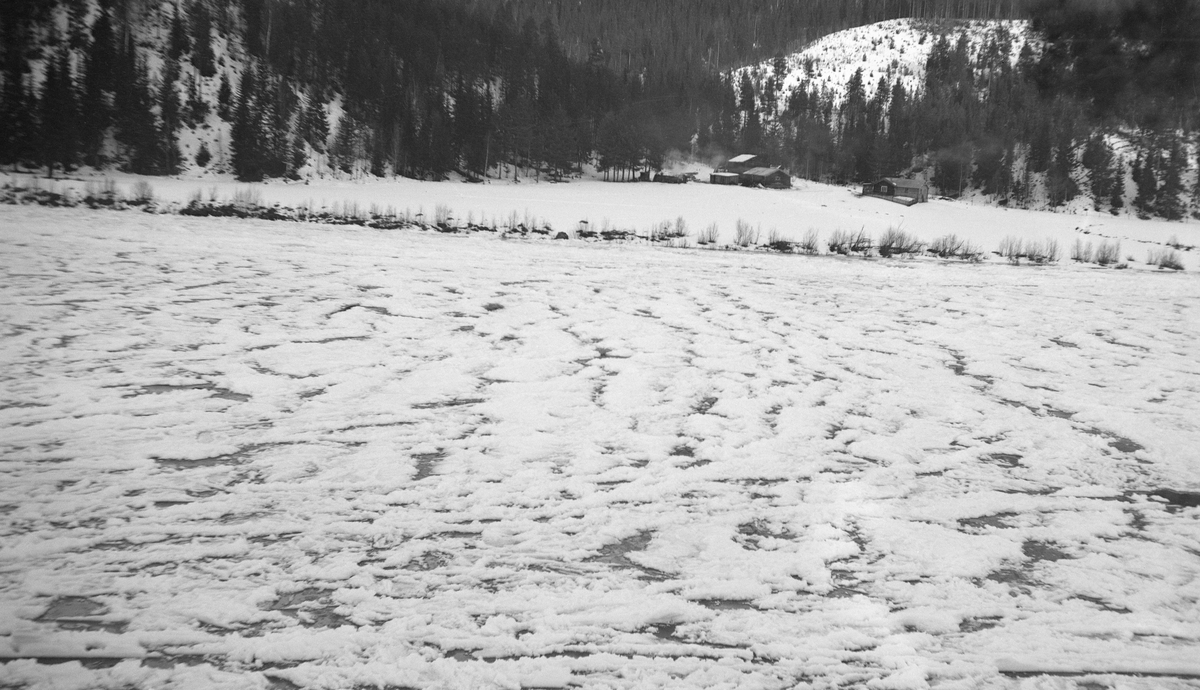 Vinterlandskap ved Glomma, antakelig fra Midt-Østerdalen en gang i 1930-åra.  Fotografiet er tatt tvers over elveleiet, antakelig fra vest mot øst.  I forgrunnen ser en hvordan en mengde is flyter i vannet.  På motsatt side av elva er flata mot elveleiet oppdyrket med et lite gardstun innerst, mot bakenforliggende åsrygger med glissen barskog. 