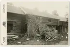 Kabinettsfotografi - höns vid ekonomibyggnad, Fäcklinge, Tierps socken, Uppland