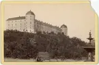 Kabinettsfotografi - Uppsala slott