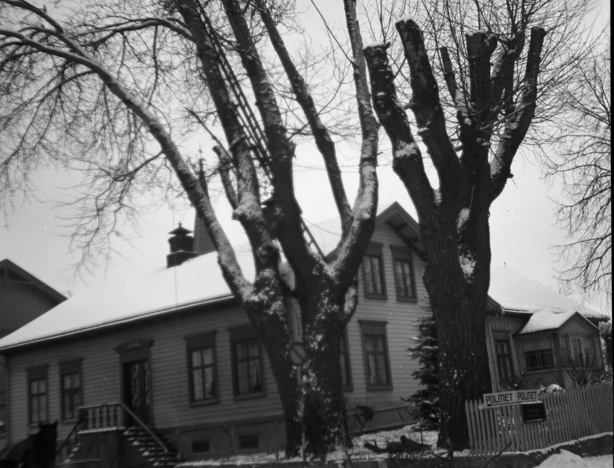 Foto av det store treet som felles utenfor Tollefsens hus i Porsgrunn

Fotosamling etter fotograf og kringkastingsmann Rikard W. Larsson (31.12.1924 - 08.06.2015).
