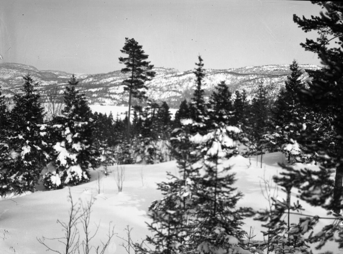 Foto av vinterlandskap

Fotosamling etter fotograf og kringkastingsmann Rikard W. Larsson (31.12.1924 - 08.06.2015).