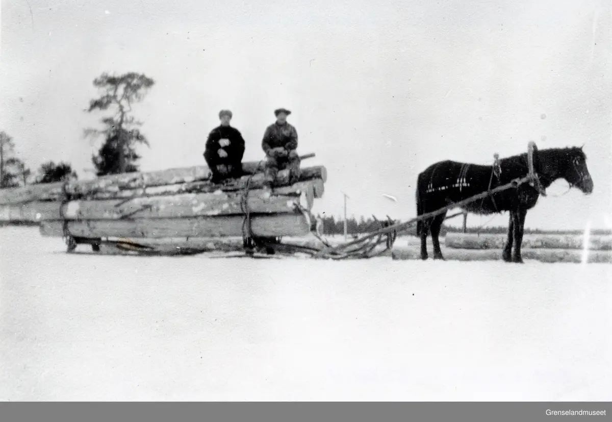 Jossi Beddari. Tømmertransport med hest i Pasvikdalen.  Pasvik Timber. Finsk seletøy og finsk doning.
