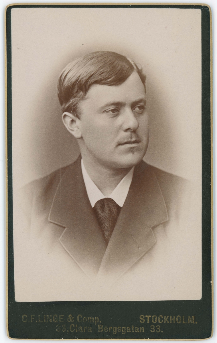Porträtt på Johan Grafström. Målare, professor i Amerika