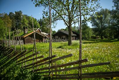 En grønn eng med laftede hus i bakgrunnen