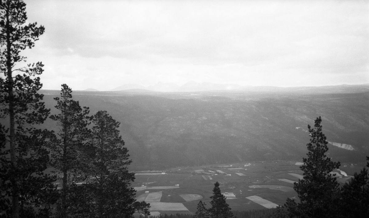 Utsikt mot Rendalssølen. Fotografiet er antakelig tatt fra vegen mellom Berset i Øvre Rendalen og Hanestad, som ligger i samme prestegjeld, men i Glommadalføret.  Vegen går sørover, sidelengs oppover bratta mot Haukkampen, hvor det er fin utsikt mot elvesletta på begge sider av elva Rena og de skogkledde liene på motsatt side av dalføret.  I bakgrunnen skimtes fjellmassivet Rendalssølen.  I forgrunnen en del mørke furutopper. 