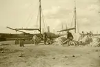 Cementfabriken i Degerhamn, 1906. Kalkskutorna lastas.