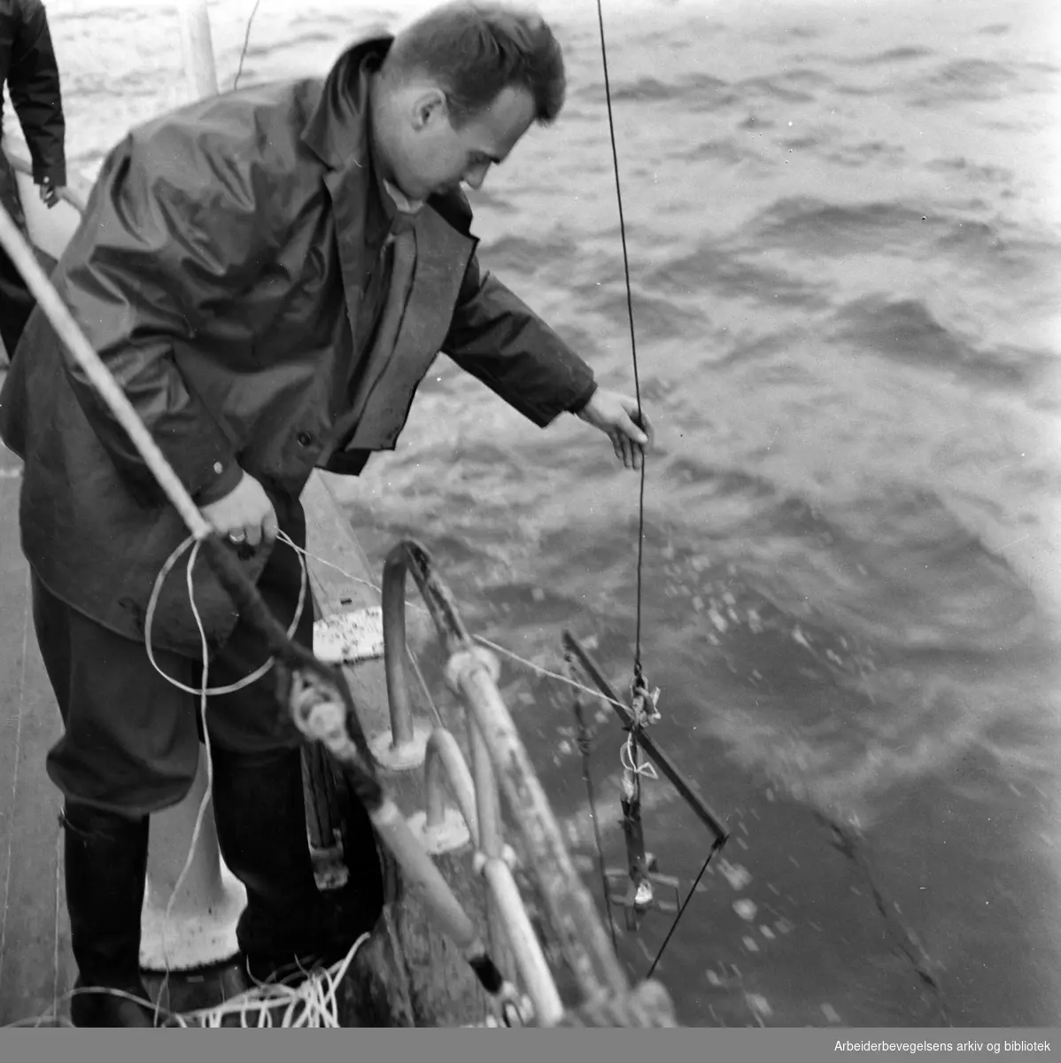 Lasse Berglind fra Vannforskningsinstituttet tar vannprøver i Indre Oslofjord. Bilde fra forskningskutteren "Gunnar Knudsen". Oktober 1960