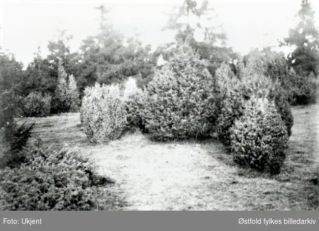 Jaktbilder Rauøy 1913 i Onsøy.