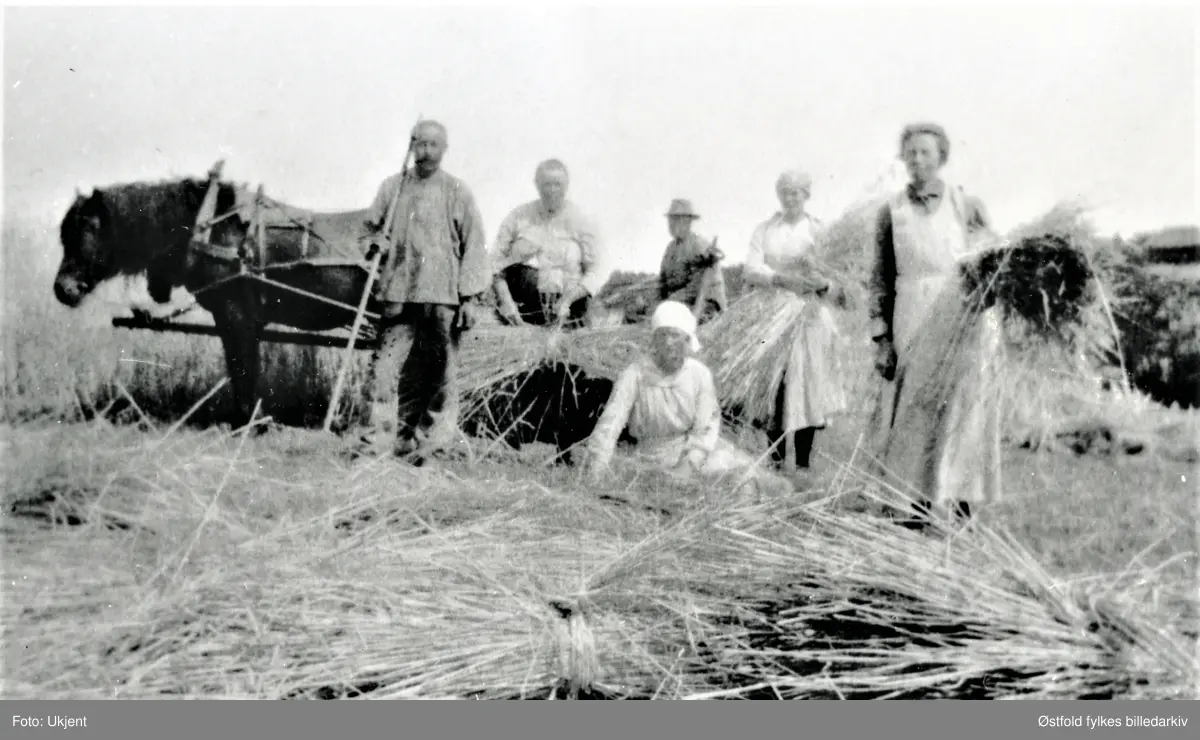 Skuronn på Strømnes i Varteig, ant. 1920-tallet?. Fra venstre: Simen Strømnes, Olava Strømnes, Ole Hansen Strømnes, Julie Brusevold, Karoline Strømnes. Sittende foran: Sofie Sælid.