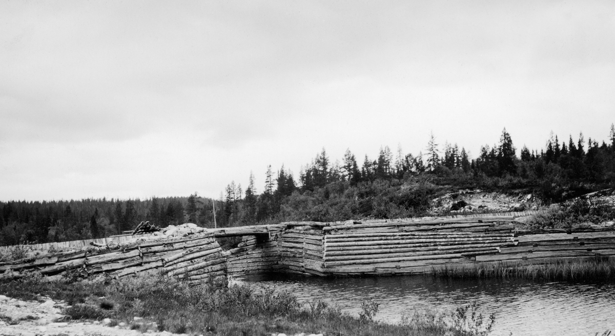 Flendammen i elva Flena i Ytre Rendal, fotografert i 1931. Dette vassdraget har sine kilder i dalsøkk og myrområder omkring fjellene Store Byringen og Veslbyringen. Flena er drøyt 2 mil lang og renner nordvestover inntil den når Storsjøens østre bredd, tre-fire kilometer sør for sjøens nordende. Fløtinga i dette vassdraget var besværlig. I 1860-åra fikk den skogeieren som påtok seg å være «fløterhusbond» og administrere arbeidet på vegne av tømmerleverandørene følgende pålegg: «Til Flødningen maa benyttes omtrent 80 Mand, forsaavidt et saa stort Antal kan opdrives.» Seinere har man forsøkt effektivisere virksomheten ved hjelp av dammer, både i hovedløpet og et par av sideløpene. Disse dammene skulle magasinere vann som kunne slippes for å oppnå høvelig vannføring for framføringa av tømmeret. Flendammen ligger ved utløpet av den lille sjøen Damfløta, der Flena og Drykkjebekken møtes. Den Flendammen vi ser på dette fotografiet var bygd av stedlige materialer - tømmer og stein. Bildet er tatt fra «vannsida», på et tidspunkt da damløpet sto åpent. Mot Damfløta var det reist skådammer, steinfylte tømmerkister som skrådde mot damløpet fra hver sin side. Også sjølve dammen var lagd av steinfylte tømmerkister, som for øvrig hadde utløpere på «luftsida» som forlenget damløpet noe. Dette var en såkalt «nåledam». Det vil si at man kunne stenge damløpet ved å stikke «nåler» - planker - tett i tett på motstrøms side, slik at vannet på oversida presset dem fast mot en horisontal terskelstokk i botnen av damløpet og mot dambrua. På denne måten dannet nålene en vegg, som gjorde det mulig å etablere et stort vannreservoar på oversida. Da dette fotografiet ble tatt lå nålene stablet ved sida av dambrua.