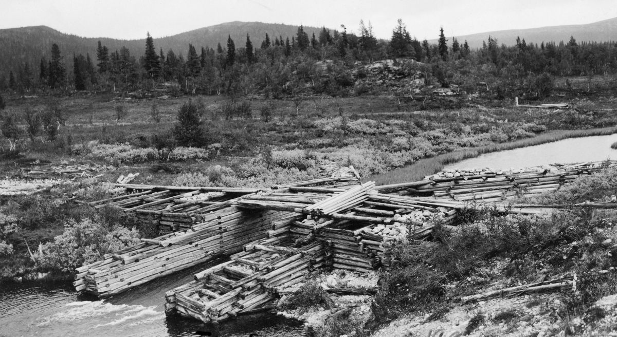 Flendammen i elva Flena i Ytre Rendal, fotografert i 1931. Dette vassdraget har sine kilder i dalsøkk og myrområder omkring fjellene Store Byringen og Veslbyringen. Flena er drøyt 2 mil lang og renner nordvestover inntil den når Storsjøens østre bredd, tre-fire kilometer sør for sjøens nordende. Fløtinga i dette vassdraget var besværlig. I 1860-åra fikk den skogeieren som påtok seg å være «fløterhusbond» og administrere arbeidet på vegne av tømmerleverandørene følgende pålegg: «Til Flødningen maa benyttes omtrent 80 Mand, forsaavidt et saa stort Antal kan opdrives.» Seinere har man forsøkt effektivisere virksomheten ved hjelp av dammer, både i hovedløpet og et par av sideløpene. Disse dammene skulle magasinere vann som kunne slippes for å oppnå høvelig vannføring for framføringa av tømmeret. Flendammen ligger ved utløpet av den lille sjøen Damfløta, der Flena og Drykkjebekken møtes. Den Flendammen vi ser på dette fotografiet var bygd av stedlige materialer - tømmer og stein. På «vannsida», mot  Damfløta, var det reist skådammer, steinfylte tømmerkister som skrådde mot damløpet fra hver sin side. Også sjølve dammen var lagd av steinfylte tømmerkister, som for øvrig hadde utløpere på «luftsida» som forlenget damløpet noe. Dette var en såkalt «nåledam». Det vil si at man kunne stenge damløpet ved å stikke «nåler» - planker - tett i tett på motstrøms side, slik at vannet på oversida presset dem fast mot en horisontal terskelstokk i botnen av damløpet og mot dambrua. På denne måten dannet nålene en vegg, som gjorde det mulig å etablere et stort vannreservoar på oversida. Da dette fotografiet ble tatt lå nålene stablet ved sida av dambrua.