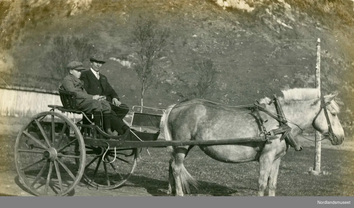 Mann og gutt som kjører hest og vogn. Olaf Bernhard Carlson (1866-1953) med sønnen Elmer (1902-1969). Olaf kom fra Stegen på Engeløya i Steigen og het Oluf Bernhard Carlsen før han emigrerte til USA i 1889.