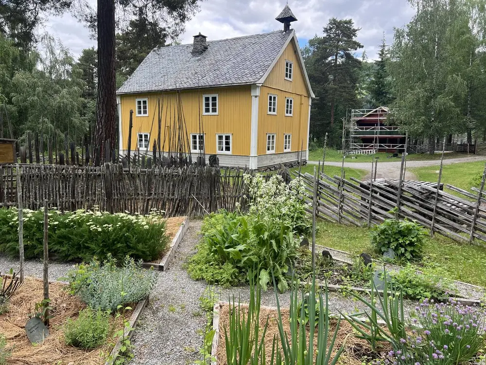 Nytteveksthage med gult trehus i bakgrunnen
