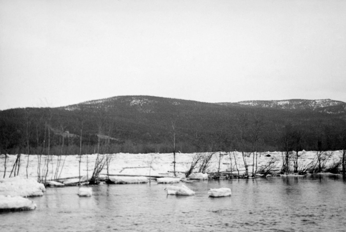 Isgang i Glomma våren 1934. Fotografiet skal være tatt i Midt-Østerdalen, antakelig i Stor-Elvdal. I forgrunnen, hvor det antakelig var et oversvømt engareal, var det ei lita, åpen vannflate. Det som sannsynligvis var elveløpet var dekt av is som var brutt opp i klumper og flak som var stuvet sammen av strømmen. På dalbotnen vokste det en del lauvtrær. På åsene i bakgrunnen var det barskogen som dominerte vegetasjonsbildet. Denne skogen later riktignok til å ha vært noe glissen på høyereliggende arealer.