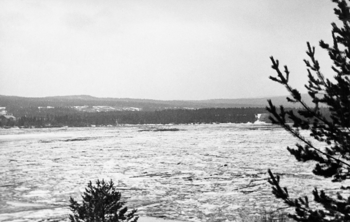 Isgang og flom i Glomma ved Rena i Åmot i Østerdalen våren 1934. Fotografiet er tatt på et sted der elveløpet var bredt, og på et tidspunkt da vannspeilet var dekt av små isflak, ispedd en del fløtingstømmer. På motsatt side av vassdraget ser vi lave åser som var dekt av barskog, i forgrunnen et par furutrær.