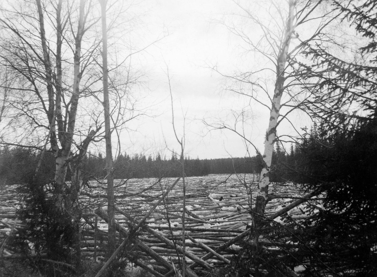 Tømmervase ved Nyhaugen i Flisa, ei sideelv til Glomma i Åsnes i Solør.  Fotografiet er tatt fra en vegetasjonsfattig skråning ned mot elveleiet der vannspeilet er dekt av tømmer.  Elva later til å være stilleflytende, men flomstor.  Andre fotografier i samme bildeserie tyder på at opphopning av tømmer ved Nyåas utløå ved Trettholmen og isgang bidro til at så mye tømmer ble liggende her våren 1935. 