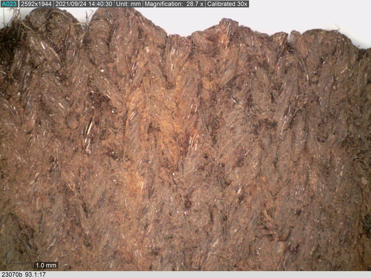 Sko.
Inuti skorna hittades även fragment från olika textilier som ursprungligen varit ett par strumpor. Idag sitter ett stickat fragment av ull fast i vänsterskon (23070) med avigsidan uppåt. I fyndet finns även en mängd lösa stickade fragment som idag är mycket korroderade och vissa helt mineraliserade av järn vilket har gjort textilen stenhård och därmed oerhört skör (23070a-c). Utifrån minskningar som några små fragment har så har det varit möjligt att rekonstruera strumpans tå. Genom att pussla ihop fragmenten som ursprungligen har suttit ihop har det på så vis gått att avgöra hur strumpans tå har varit konstruerad. Då textilen är så fragmentarisk är det inte möjligt att avgöra hur resten av strumpan har sett ut eller varit konstruerad. Däremot så finns det fragment av ett kypertvävt tyg av ull som på vissa ställen ligger dubbelt med det stickade 23070c). Ett av dessa fragment har stelnat i formen så som den suttit på fotens främre del inuti skon. Detta fragment täcker delvis det stickade tyget och har dessutom spår av kaststygn längs en kant. Så som det vävda tyget är placerat på det stickade tyget pekar på att man använt det som lagningslappar till sina stickade strumpor. 
I fyndet finns det även korroderade järnklumpar, ett tuskaftsvävt tyg av ull och rester av ett grovt bastfibergarn och två mindre läderfragment (23070d-f). Det är möjligt att även dessa har tillhört strumpan och/eller skon.

För mer detaljerad information från textildokumentationen (år 2022) se länkade filer.

Skodokumentation 2022:
Ovanläder. Tillverkad i getskinn av god kvalitet. Hör ihop med fyndnummer 23069 (Yngves skor). Tillverkades på en rak läst och bars på vänster fot. Inga dekorationer Det finns stygnhål som visar att det funnits invändiga förstärkningar (men förstärkningslappen saknas). Det finns delaminering men inga lagningar.
För mer information, se Länkade filer: Uppritning

Text in english:
This is the upper of a shoe of more “extreme fashion”, made of goatskin leather of good quality, probably made on a straight last and worn of the left foot, with no decorative features. The upper couples with 23069, together composing Yngve’s shoes. There are internal reinforcements missing from the upper and delamination, there are no repairs.
For more information, go to Länkade filer: Uppritning