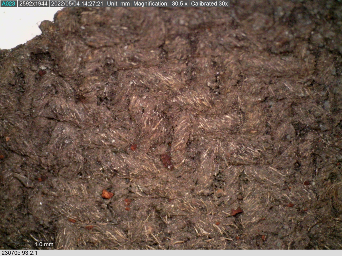 Sko.
Inuti skorna hittades även fragment från olika textilier som ursprungligen varit ett par strumpor. Idag sitter ett stickat fragment av ull fast i vänsterskon (23070) med avigsidan uppåt. I fyndet finns även en mängd lösa stickade fragment som idag är mycket korroderade och vissa helt mineraliserade av järn vilket har gjort textilen stenhård och därmed oerhört skör (23070a-c). Utifrån minskningar som några små fragment har så har det varit möjligt att rekonstruera strumpans tå. Genom att pussla ihop fragmenten som ursprungligen har suttit ihop har det på så vis gått att avgöra hur strumpans tå har varit konstruerad. Då textilen är så fragmentarisk är det inte möjligt att avgöra hur resten av strumpan har sett ut eller varit konstruerad. Däremot så finns det fragment av ett kypertvävt tyg av ull som på vissa ställen ligger dubbelt med det stickade 23070c). Ett av dessa fragment har stelnat i formen så som den suttit på fotens främre del inuti skon. Detta fragment täcker delvis det stickade tyget och har dessutom spår av kaststygn längs en kant. Så som det vävda tyget är placerat på det stickade tyget pekar på att man använt det som lagningslappar till sina stickade strumpor. 
I fyndet finns det även korroderade järnklumpar, ett tuskaftsvävt tyg av ull och rester av ett grovt bastfibergarn och två mindre läderfragment (23070d-f). Det är möjligt att även dessa har tillhört strumpan och/eller skon.

För mer detaljerad information från textildokumentationen (år 2022) se länkade filer.

Skodokumentation 2022:
Ovanläder. Tillverkad i getskinn av god kvalitet. Hör ihop med fyndnummer 23069 (Yngves skor). Tillverkades på en rak läst och bars på vänster fot. Inga dekorationer Det finns stygnhål som visar att det funnits invändiga förstärkningar (men förstärkningslappen saknas). Det finns delaminering men inga lagningar.
För mer information, se Länkade filer: Uppritning

Text in english:
This is the upper of a shoe of more “extreme fashion”, made of goatskin leather of good quality, probably made on a straight last and worn of the left foot, with no decorative features. The upper couples with 23069, together composing Yngve’s shoes. There are internal reinforcements missing from the upper and delamination, there are no repairs.
For more information, go to Länkade filer: Uppritning