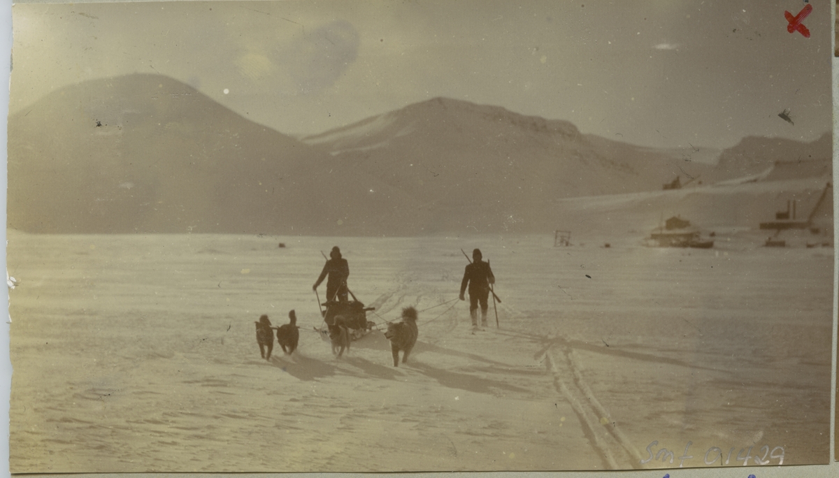 2 menn og hundespann. på isen utenfor kaien, Longyearbyen