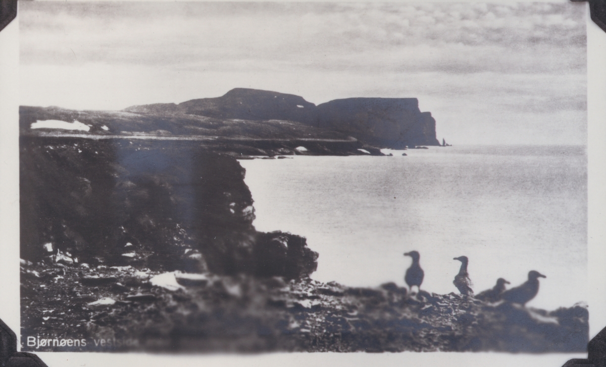 Vestsiden av Bjørnøya . Fra avfotografert album.