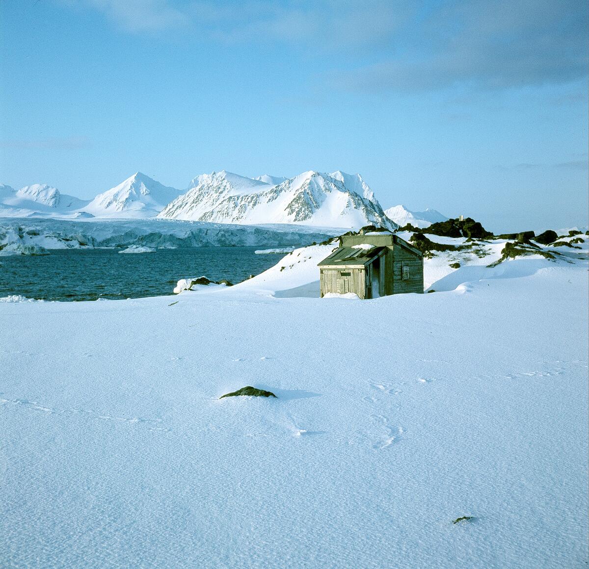 Isbjørnhamna, Hornsund