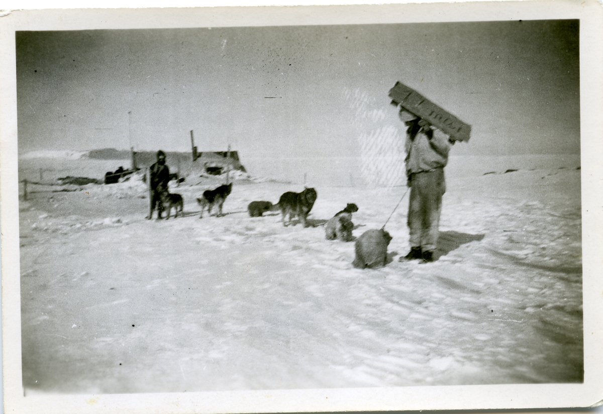 Foto fra album etter Knut Bjåen( 1920-2001). Bildene er fra fangstovervintring på Halvmåneøya i året 1947-48 med to brødre, Jon og Sjur, samt søskenbarnet Olav Bjåen.