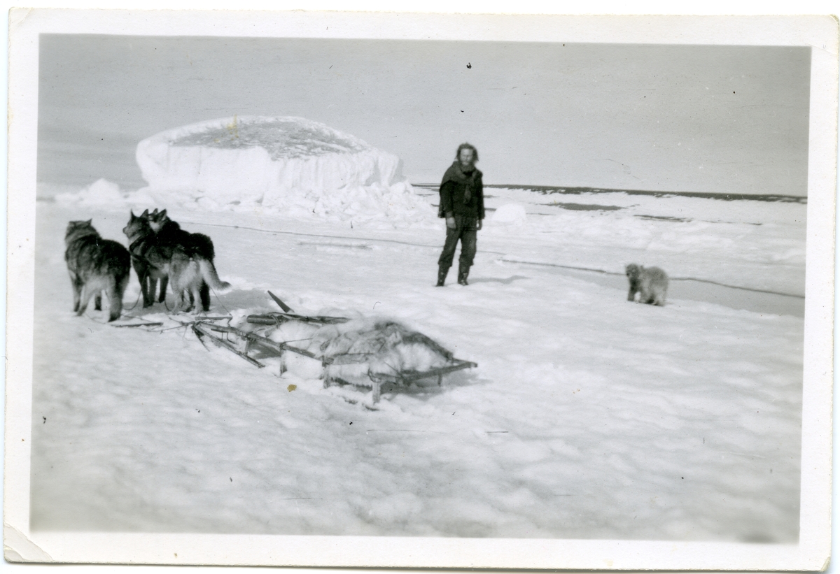 Foto fra album etter Knut Bjåen( 1920-2001). Bildene er fra fangstovervintring på Halvmåneøya i året 1947-48 med to brødre, Jon og Sjur, samt søskenbarnet Olav Bjåen.