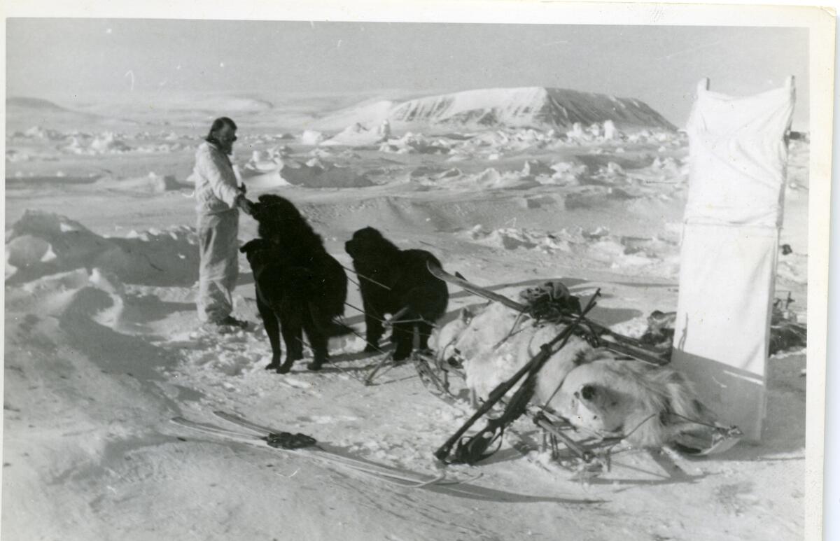 Foto fra album etter Jon Bjåen( 1913-1993). Bildene er fra fangstovervintring på Halvmåneøya i året 1947-48 med to brødre, Knut og Sjur, samt søskenbarnet Olav Bjåen.