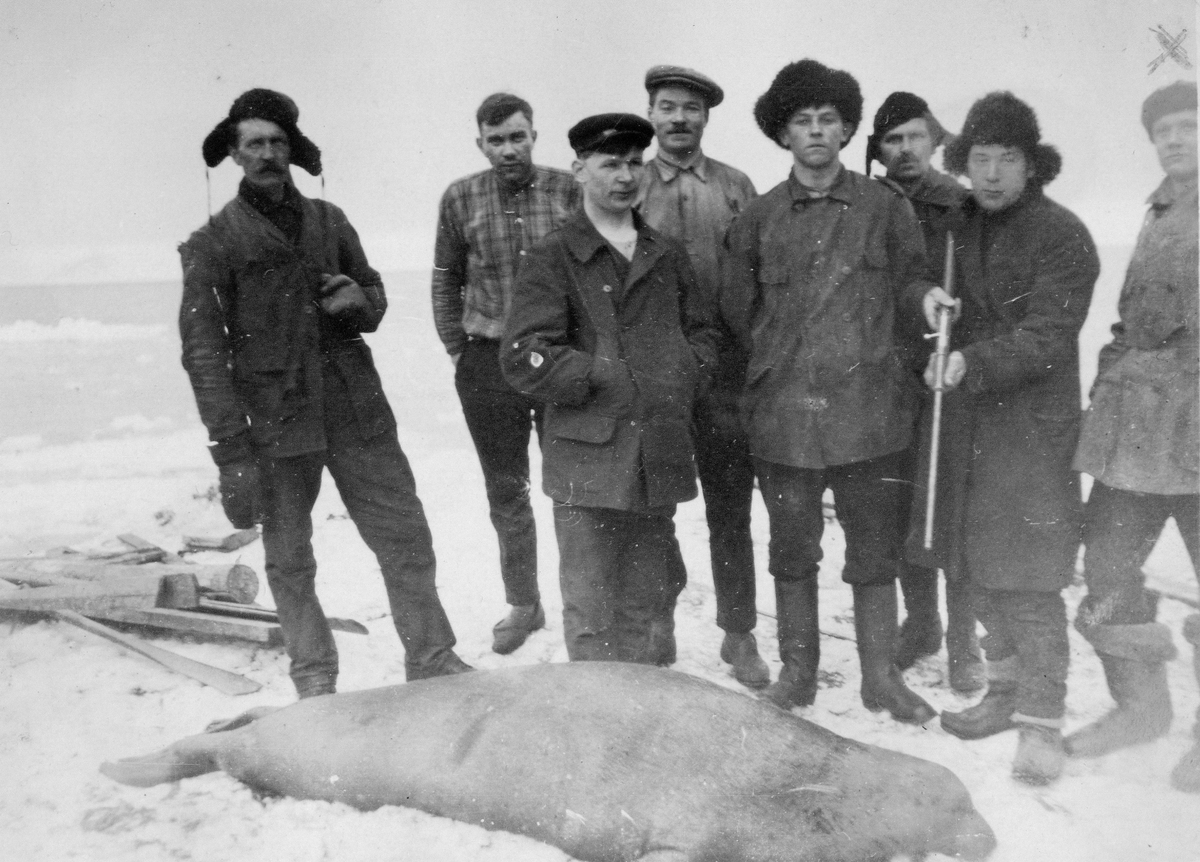 Seljakt. Våren 1926 Bilder etter Albert Edwin Nicholls, født i London 1905, død 1981.Emigrerte til Australia i 1969. Nicholls jobbet som ineniør på Svalbard i 1925-26 for Anglo Russian Grumant Company Ltd (ARG co.Ltd)