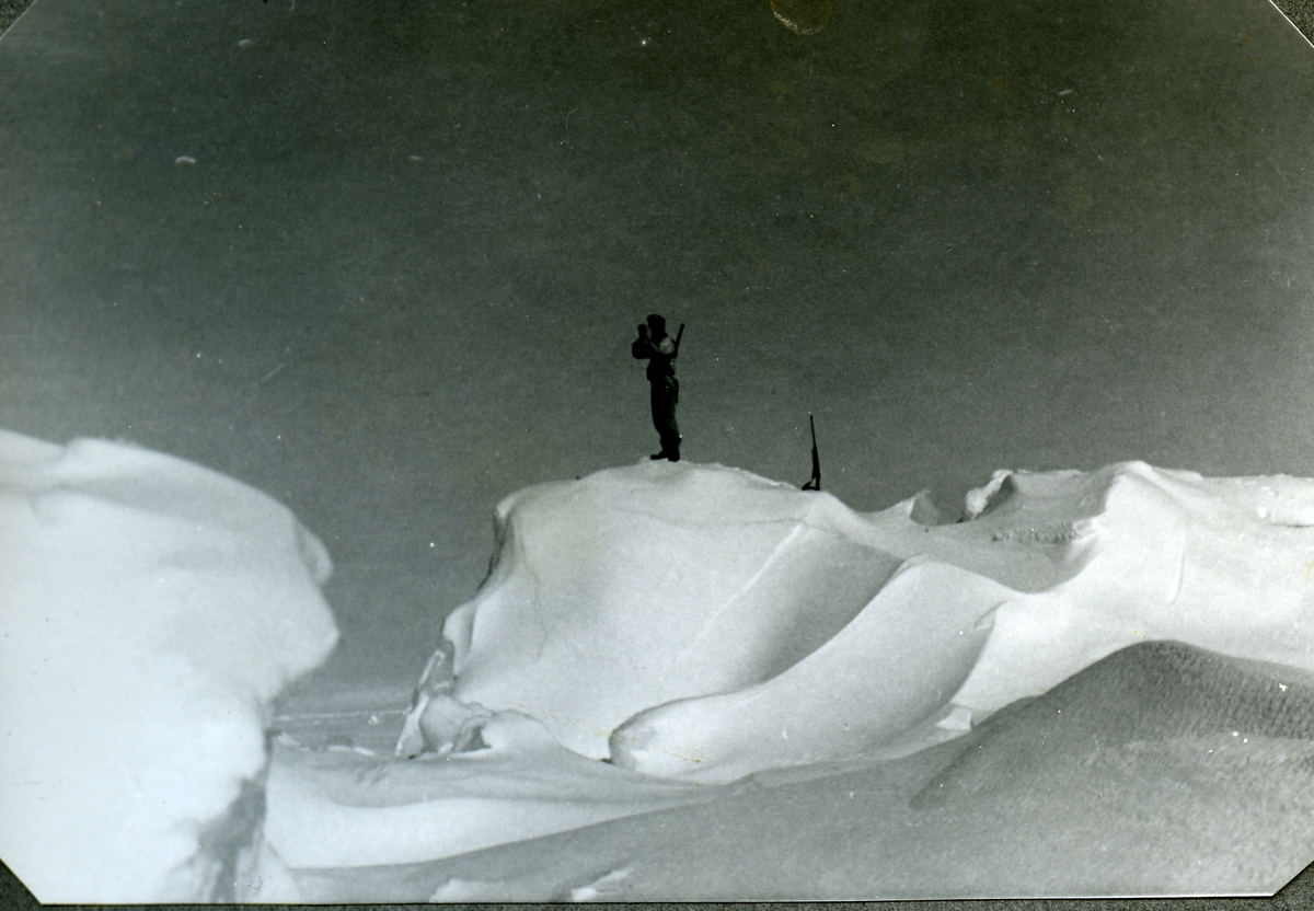 Foto fra album etter Knut Bjåen( 1920-2001). Bildene er fra fangstovervintring på Halvmåneøya i året 1947-48 med to brødre, Jon og Sjur, samt søskenbarnet Olav Bjåen. Isbjørnjakt i drivisen.