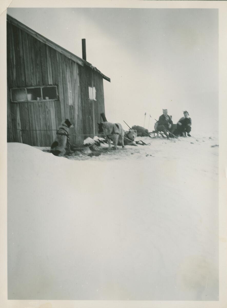 To personer og tre hunder foran hytte. Bildet er del av fotoalbum: SVB 2668 Louis Torjusen arbeidet på lageret og var også organist i kirken samt dirigent for mannskoret i 3 år fra 1924