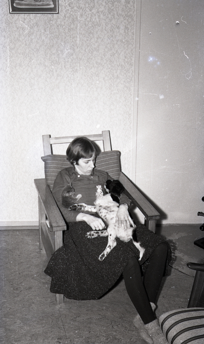 Margit Askvik med hunden Heidi og en kattunge i stua på Haugen vinteren 1959.