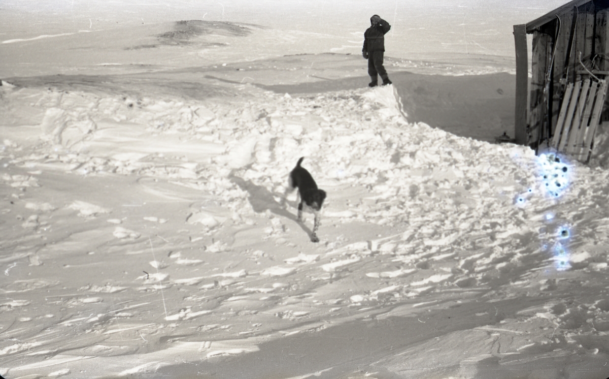 Familien Askvik på hyttetur på Førstehytta i Adventdalen ved Operafjellet i påsken 1959. Jack Askvik og hunden Heidi.