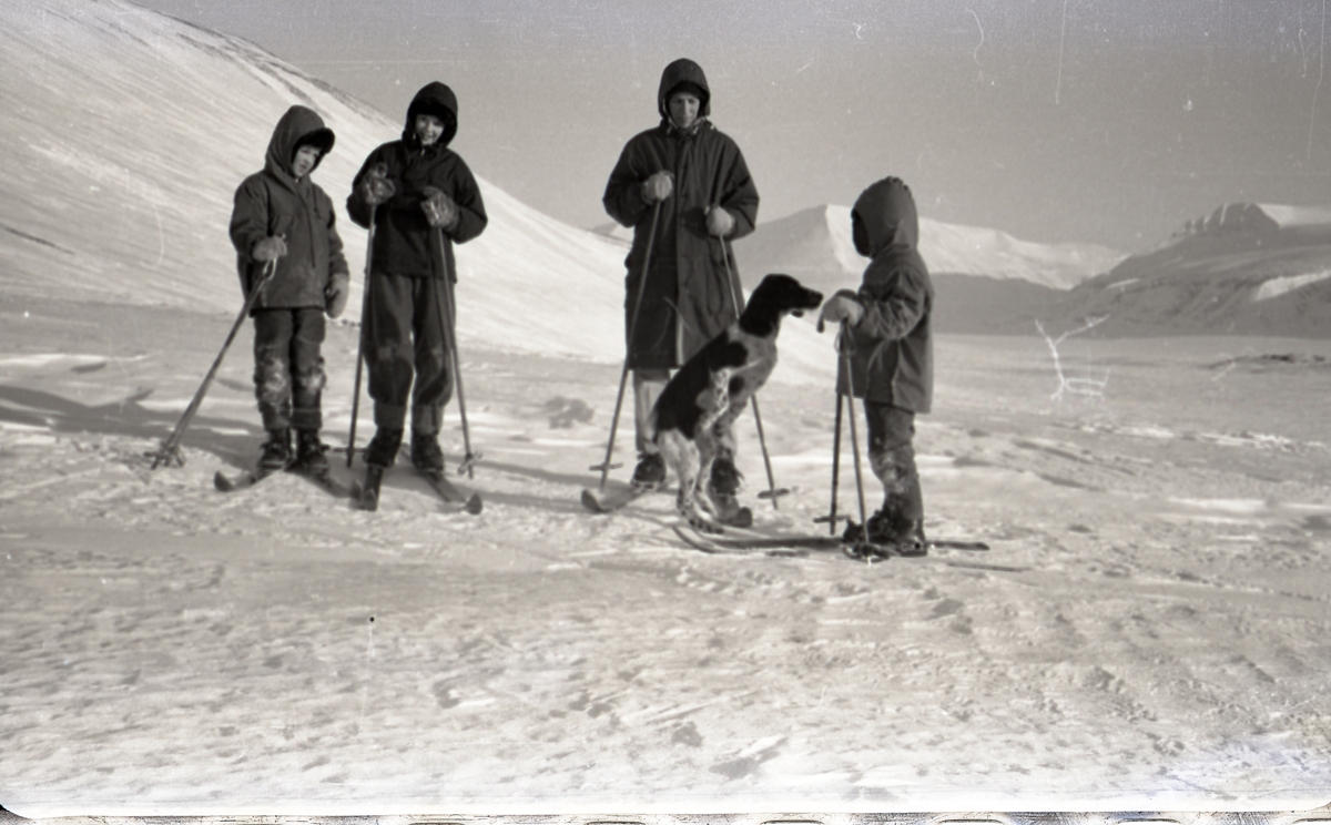 Familien Askvik på hyttetur på Førstehytta i Adventdalen ved Operafjellet i påsken 1959.  Jack, Lars Inge, Margit og Terje Askvik og hunden Heidi.