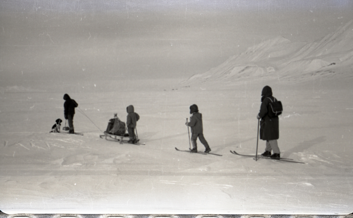 Familien Askvik på hyttetur på Førstehytta i Adventdalen ved Operafjellet i påsken 1959.  Lars Inge, Terje, Jack og Margit Askvik og hunden Heidi på vei hjemover til Longyearbyen igjen.