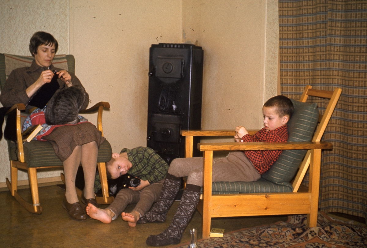 Margit, Terje og Jack Askvik med katten og hunden Heidi i stua på Grønnhuset på Haugen julen 1959.