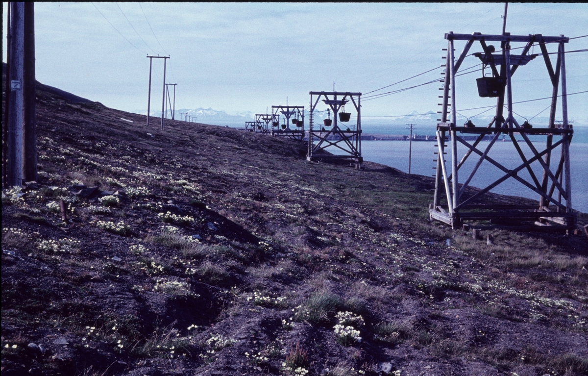 Taubanen til Hotellneset ca. 1961.