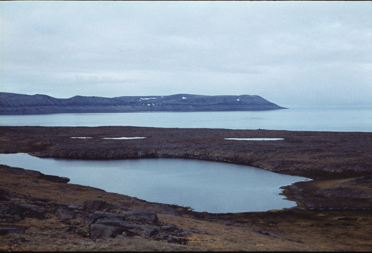 Barentsøya og Freemansundet i august 1960