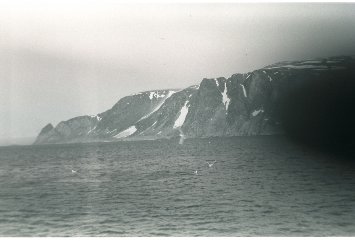 Virgohamna sommeren 1958. Sokneprest Erling J. Nødtvedt reiste med Nordsyssel til bl.a. Magdalenefjorden, Virgohamna og Reinsdyrflya for å finne graven til en tysker som omkom under 2.verdenskrig. Familien Nødtvedt fikk være med på turen.