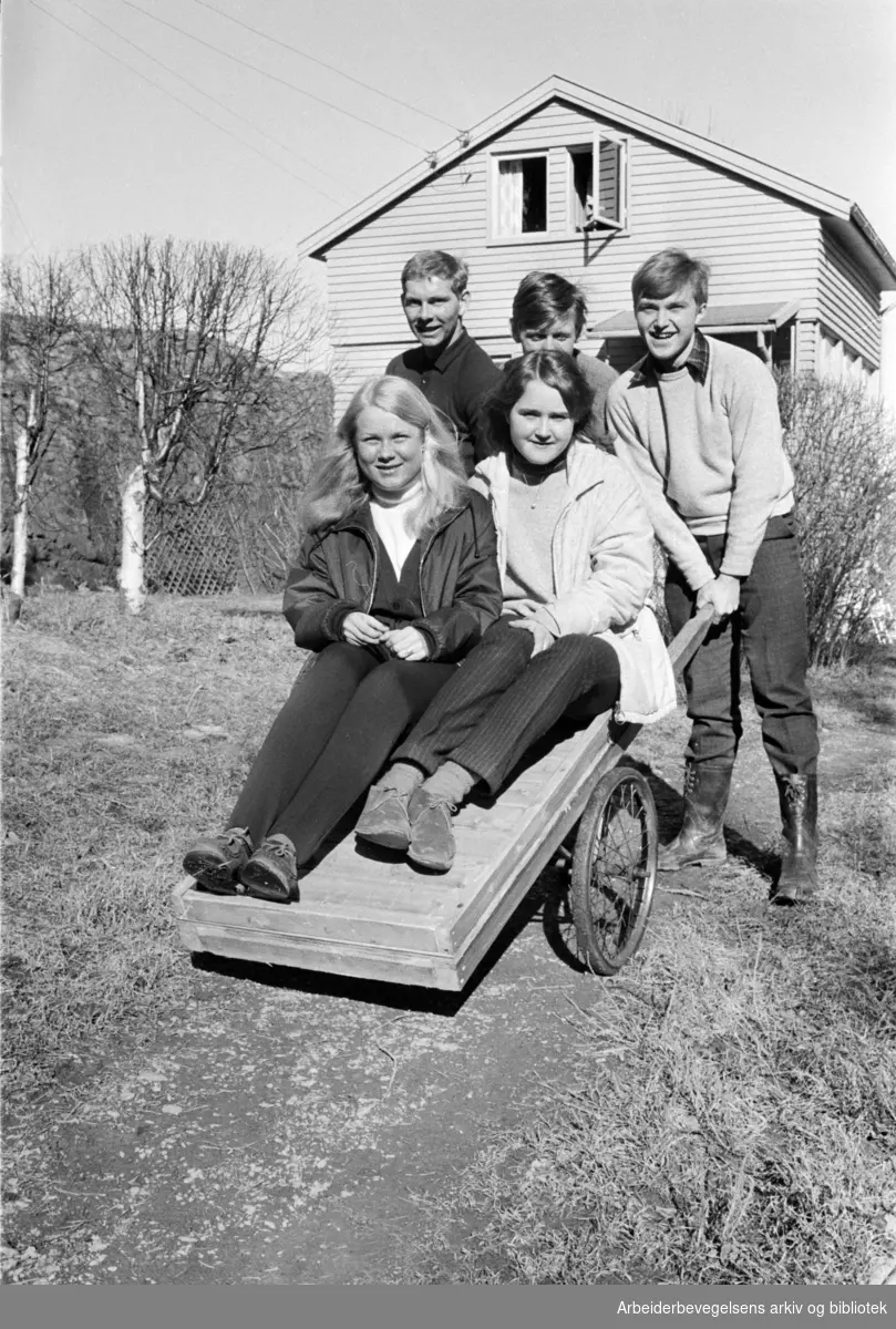 Lindøya. Det er ikke så mye "fart" på øya, men ungdommen koser seg alikevel. På tralla sitter Bente Lysell og Eva Engh. Bak fra venstre: Svein Hansen, Bjørn A. Wold og Tore Christensen. April 1967