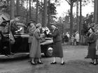 Kungabesök i Linköping.
Eriksgatan i maj 1953. I en öppen Mercedes gjorde kungaparet en bejublad rundtur i Linköpings centrala delar. Här passerar kungaparet Stadshuset.
...
...
...

385 bilder om Linköping på 1950-talet från tidningen Östgötens arkiv. Framtidstro och optimism är ord som sammanfattar Linköping på femtiotalet. Årtiondet innebar satsningar för att förbättra linköpingsbornas livsvillkor. Bostadsfrågan och trafiklösningarna dominerade den lokalpolitiska agendan.
Bilderna digitaliserades år 2013.