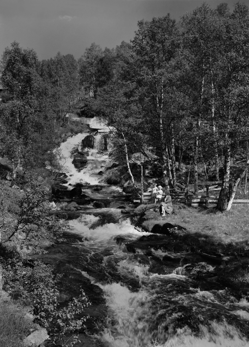 Tolga-fossen 1963
