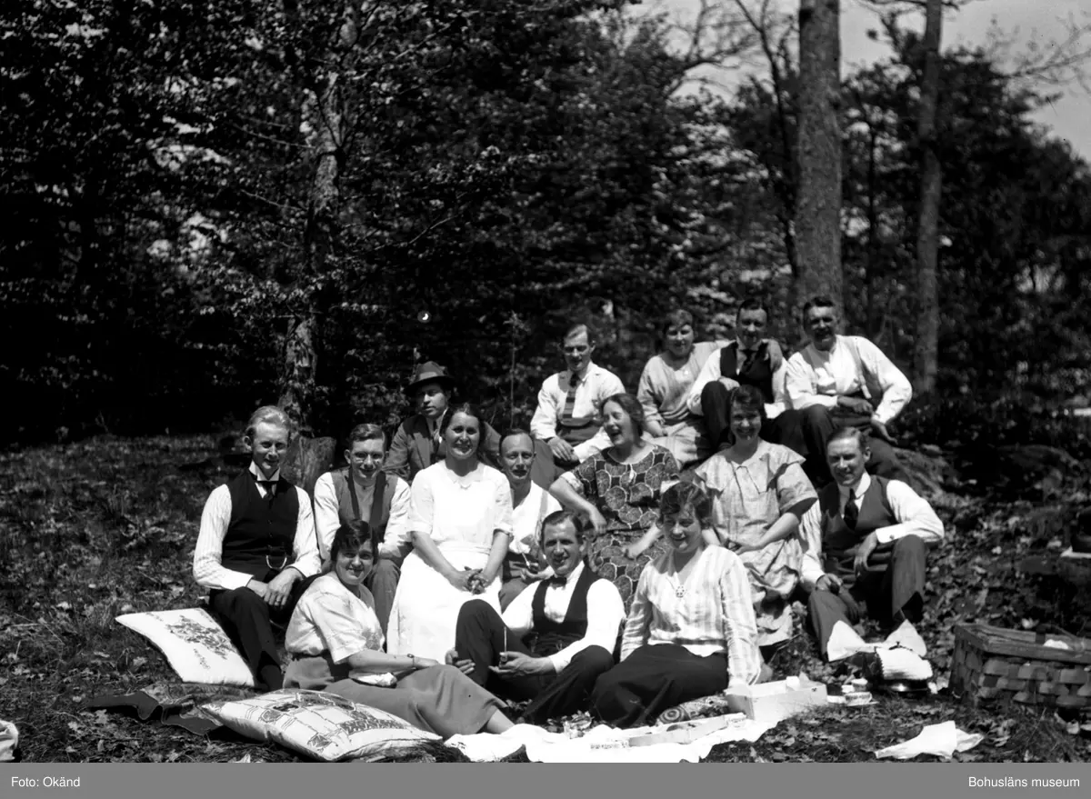 15 personer samlade i en trädgård för picknick med filtar, dynor och picknickkorg.