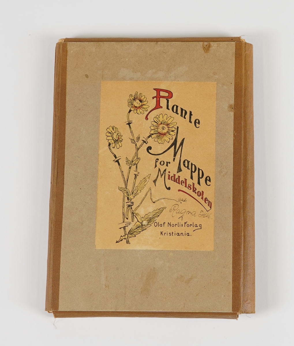 Ein rektangulær perm i papp, med band til lukking. Inni er det 50 ark med ulike pressa plantar. På innsida av permer står "De viktigste plantefamilier", 130 stk, samt "Linnès system" med 24 ulike klassar å dele plantane inn i.