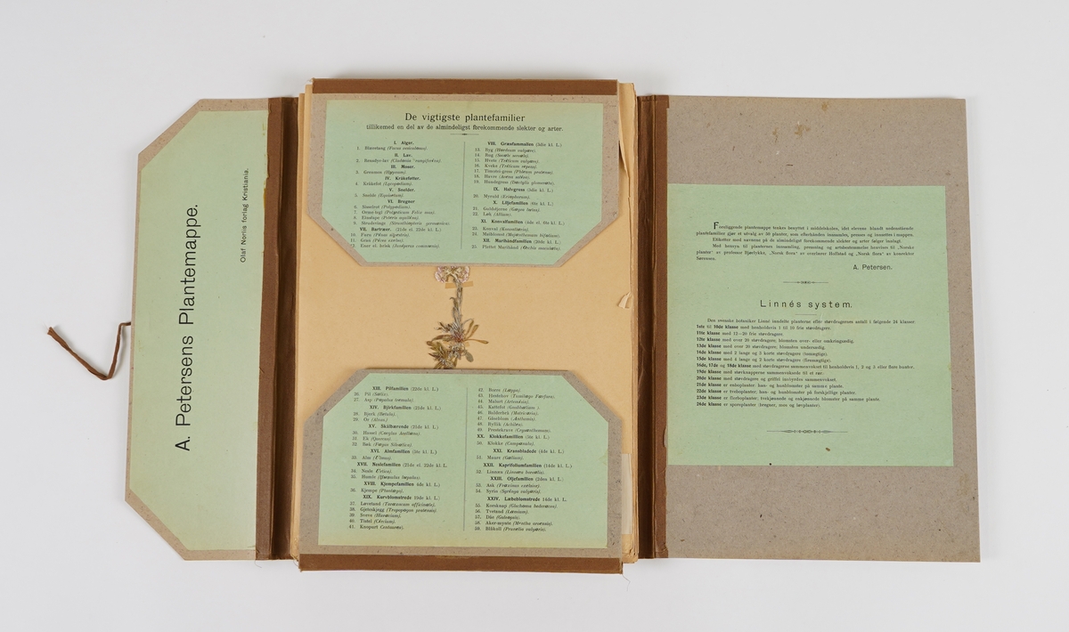 Ein rektangulær perm i papp, med band til lukking. Inni er det 50 ark med ulike pressa plantar. På innsida av permer står "De viktigste plantefamilier", 130 stk, samt "Linnès system" med 24 ulike klassar å dele plantane inn i.