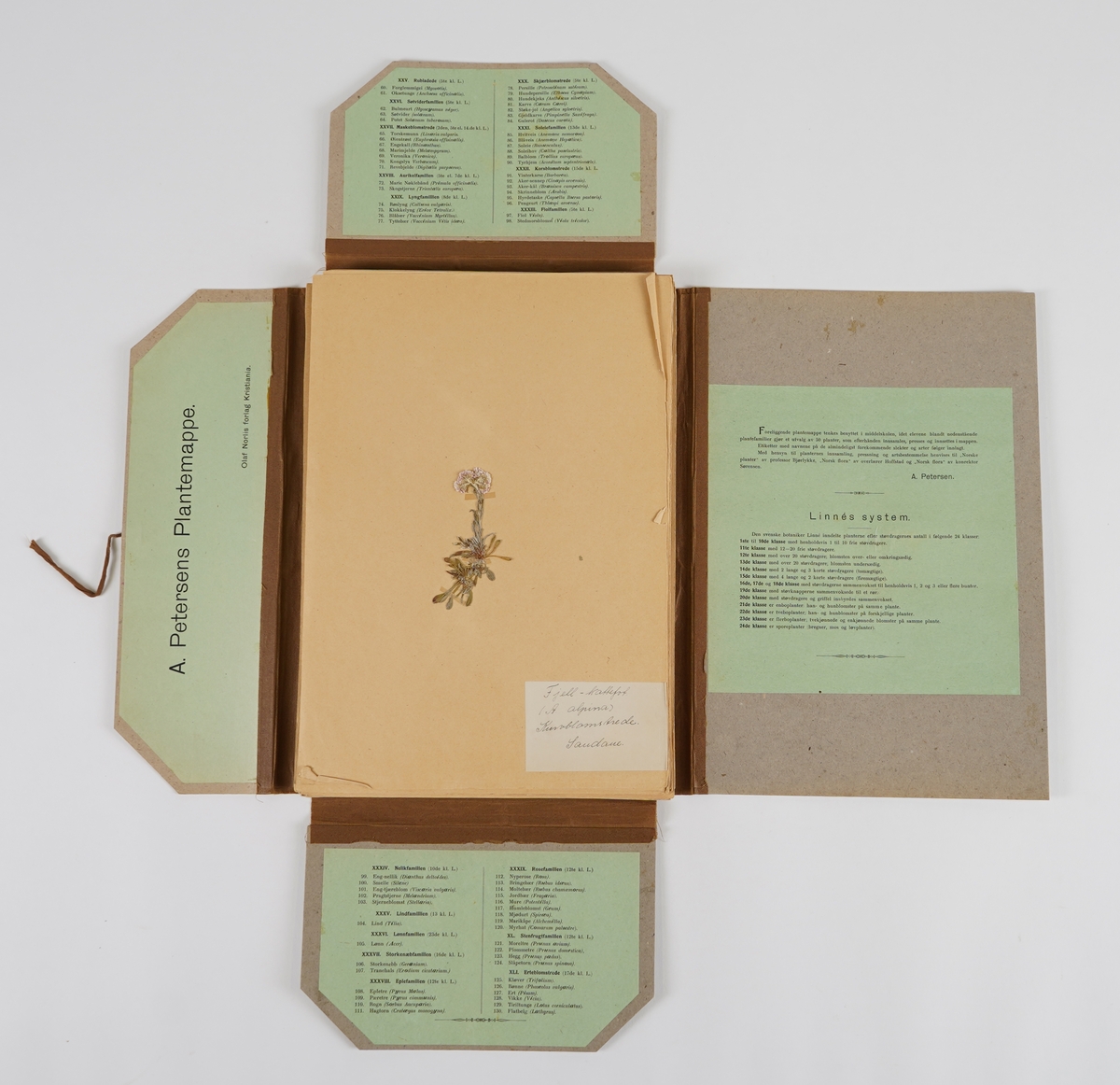 Ein rektangulær perm i papp, med band til lukking. Inni er det 50 ark med ulike pressa plantar. På innsida av permer står "De viktigste plantefamilier", 130 stk, samt "Linnès system" med 24 ulike klassar å dele plantane inn i.