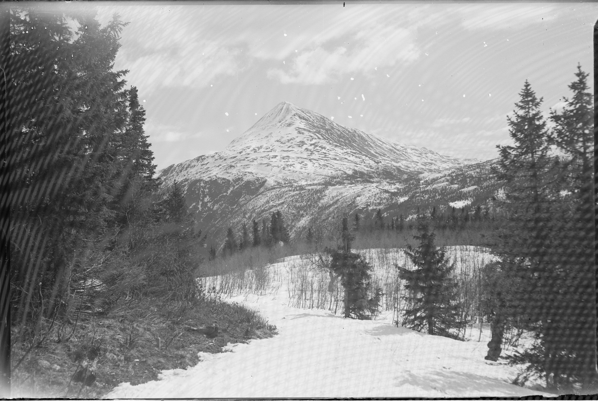 Snødekket fjellandskap med utsikt mot Gaustatoppen.