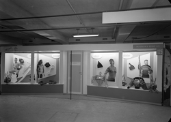 Petersen & Dekkes stand.