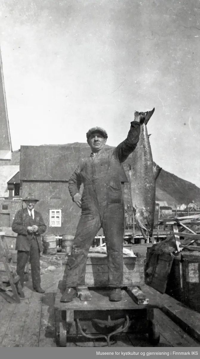 Honningsvåg. Ingvald Loua med storlaks på kaia ved Statens fryseri på Menes. Han jobbet som maskinist på fryseriet. August 1929.