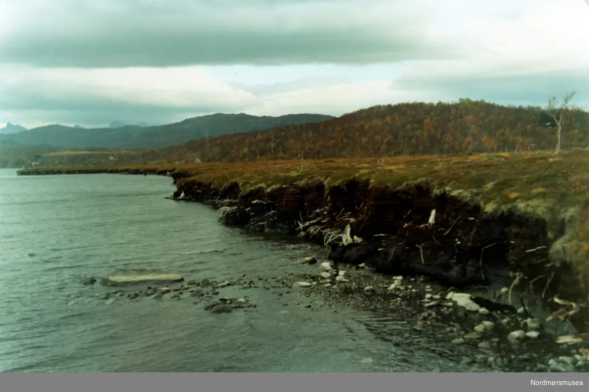 Myrnesset ved Soløyvatn i Bodø kommune. September 1970. Fra fotoalbumet "Verneverdige myrer og våtmarker" tilhørende Norsk myrmuseum, Smøla kommune.